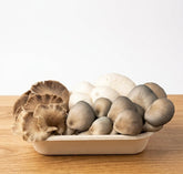 Oyster Mushroom Medley Fresh
