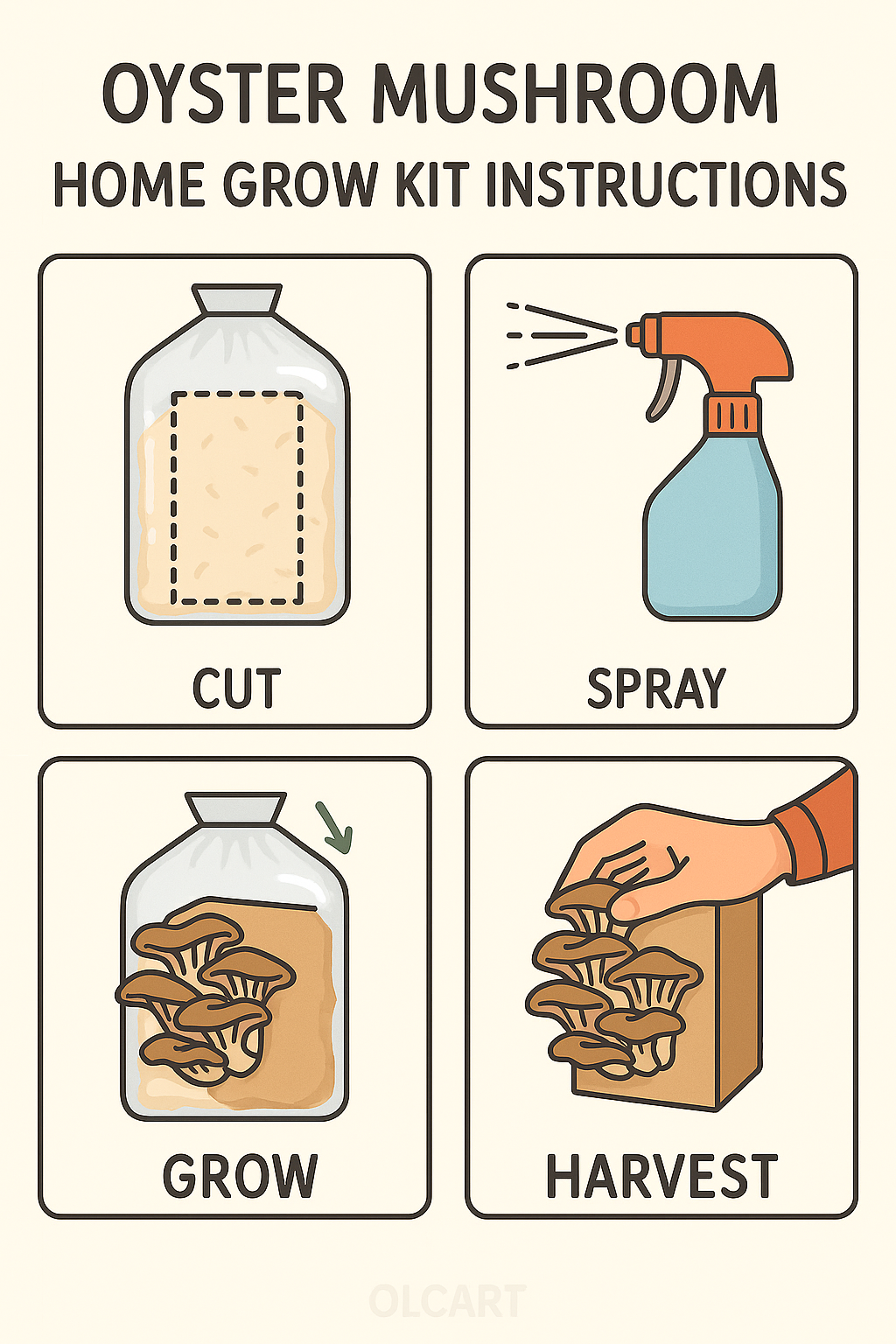 Oyster Mushroom Home Grow Kit Instructions