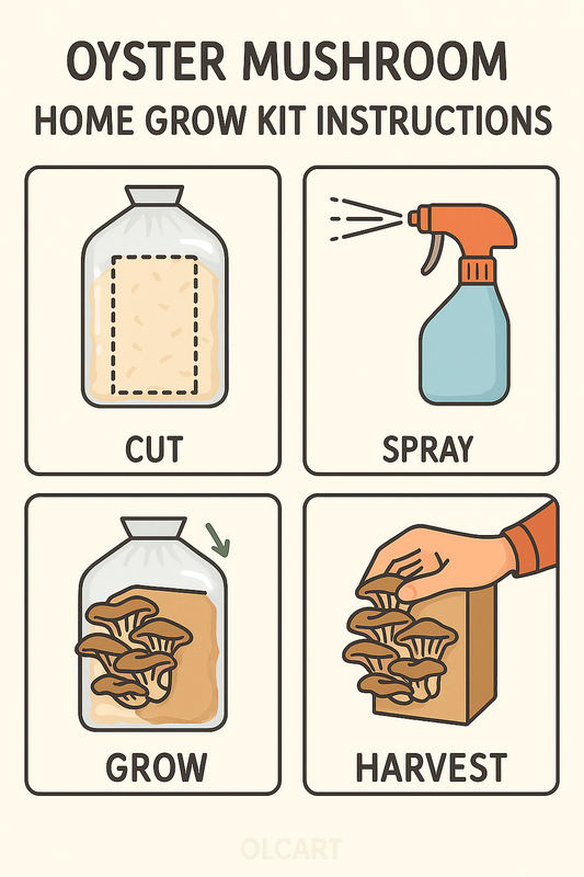 Oyster Mushroom Home Grow Kit Instructions