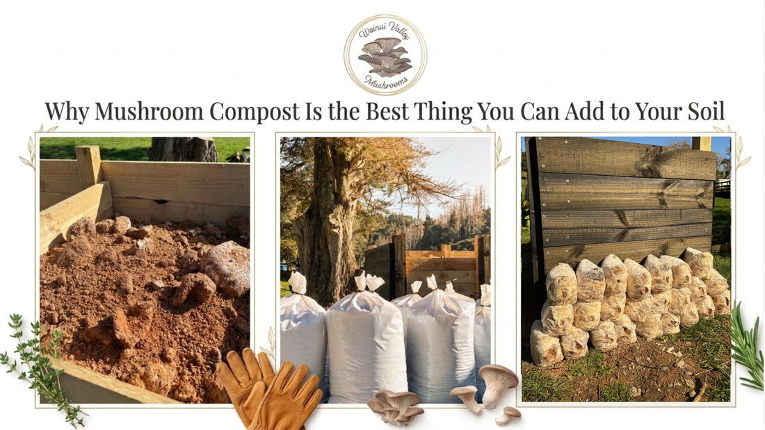 Why Mushroom Compost Is the Best Thing You Can Add to Your Soil