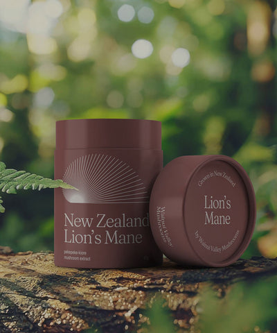 NZ Lion’s Mane Mushroom Supplement