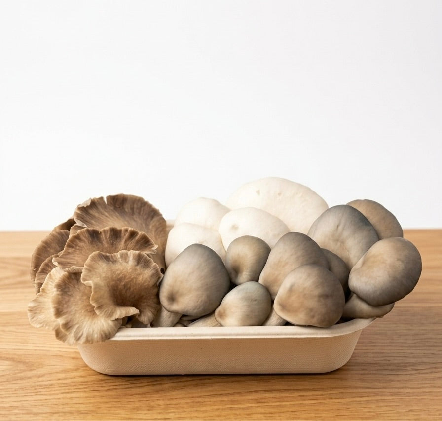 Oyster Mushroom Medley Fresh