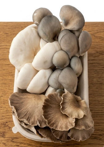 Oyster Mushroom Medley Fresh