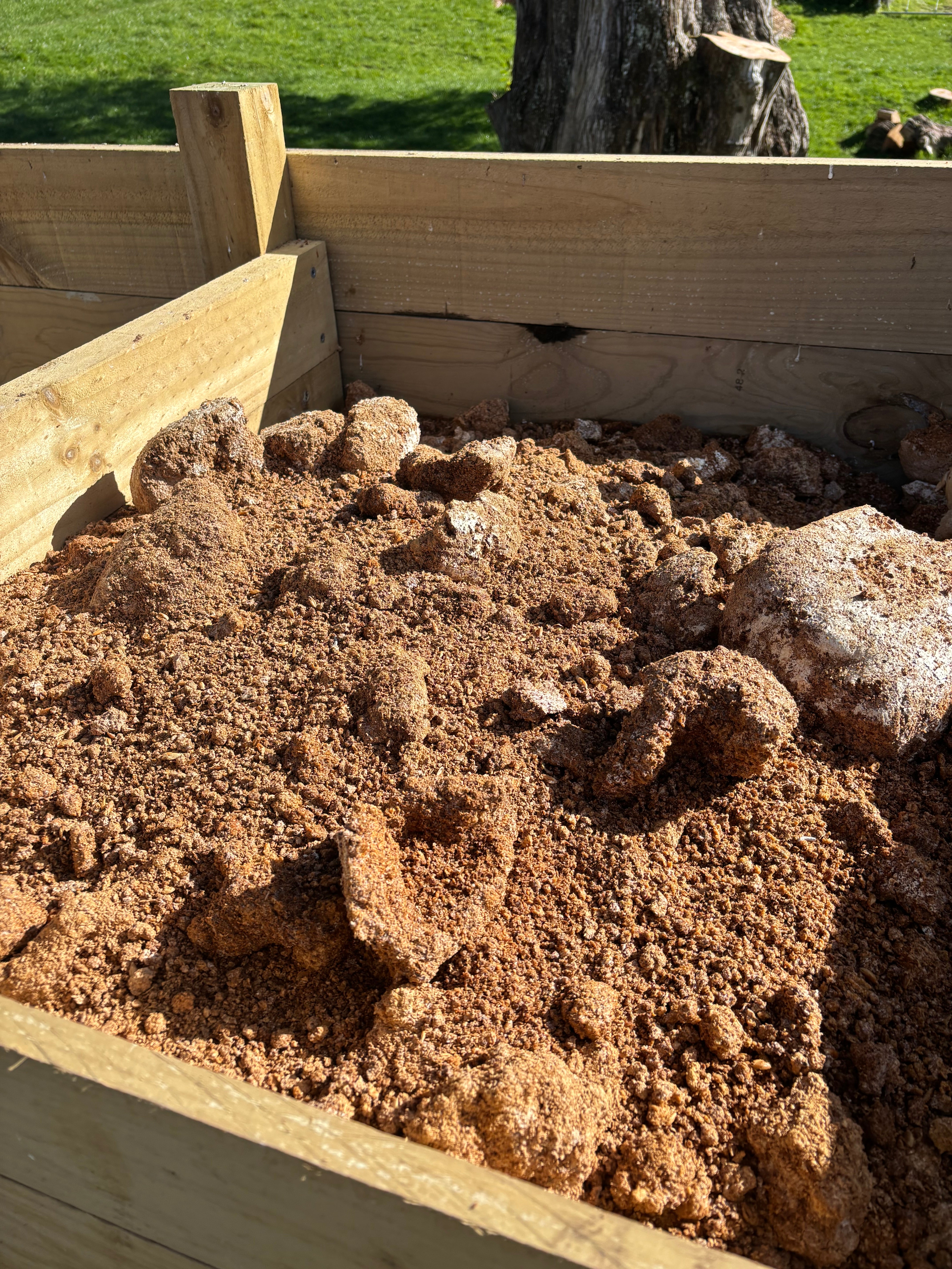 Wainui Valley Mushrooms compost in the garden