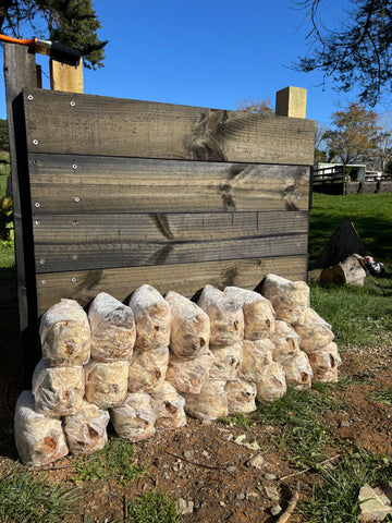 PRE ORDER ONLY: Mushroom Compost 20kg (Collection only)