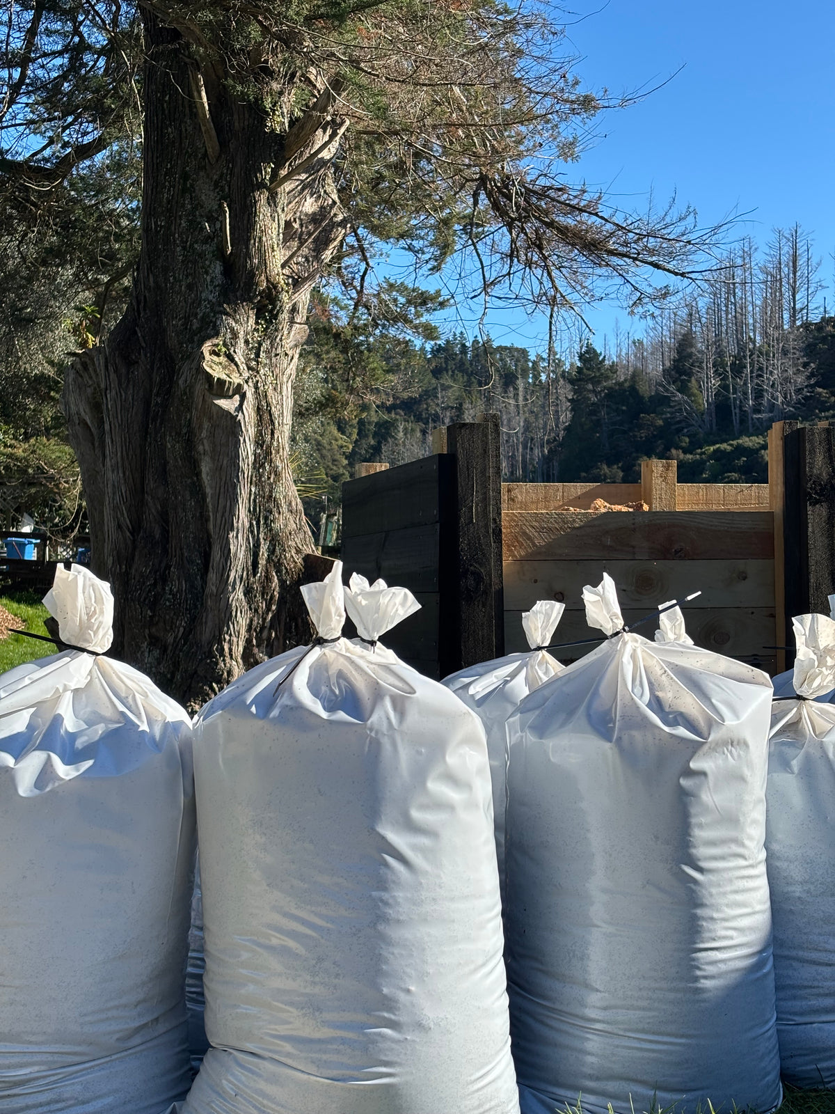 PRE ORDER ONLY: Mushroom Compost 20kg (Collection only)