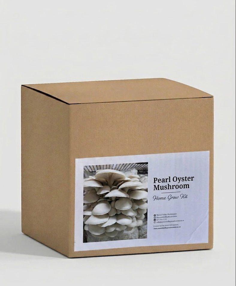 Pearl Oyster Grow Kit