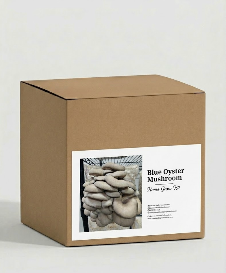 Blue Oyster Grow Kit