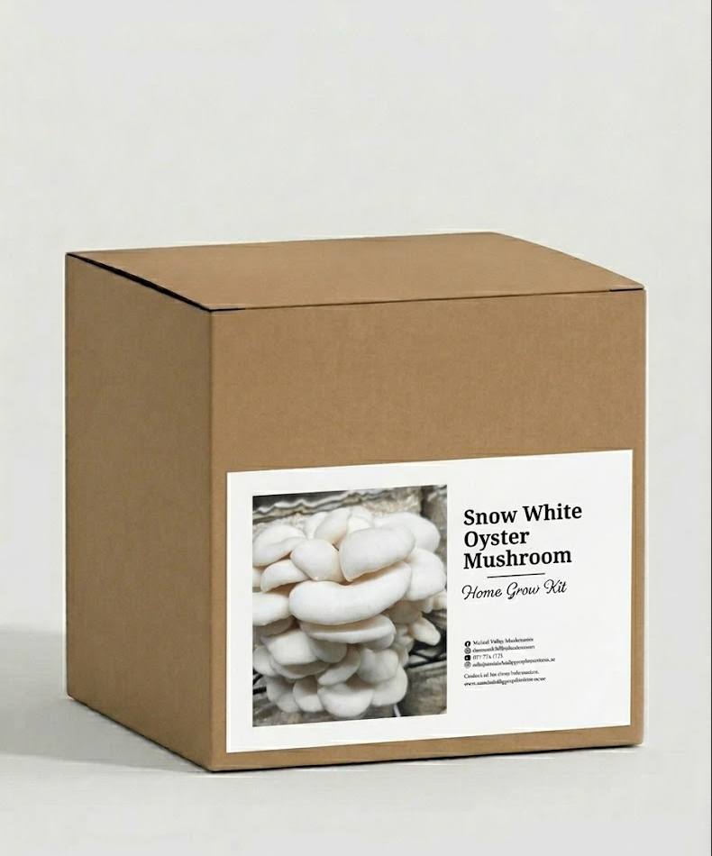 Snow White Oyster Grow Kit