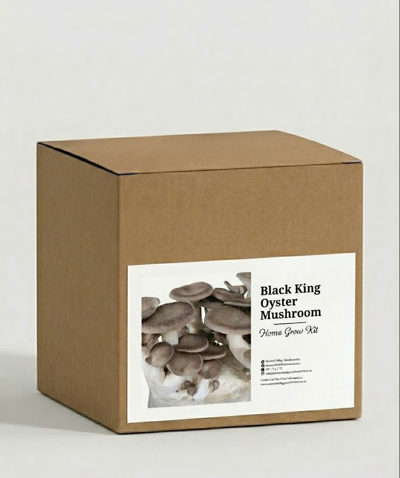 Black King Oyster Grow Kit