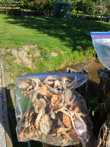 Dehydrated Mushroom mixed, Perfect for a Risotto and Soup mix.