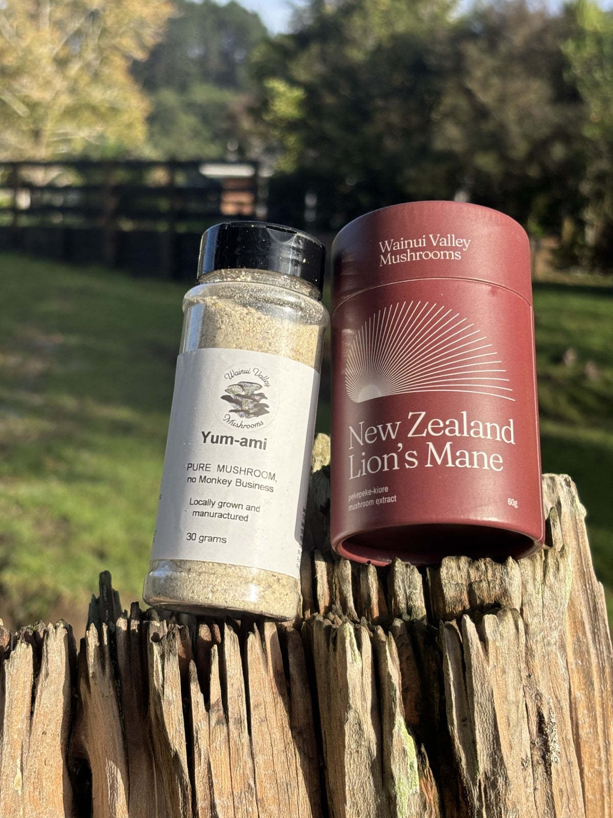 Wellness Reset Bundle (Best Seller)
